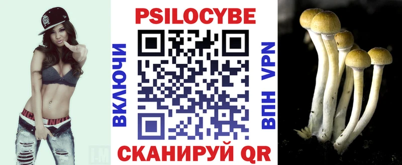 закладка  Уварово  Псилоцибиновые грибы прущие грибы 